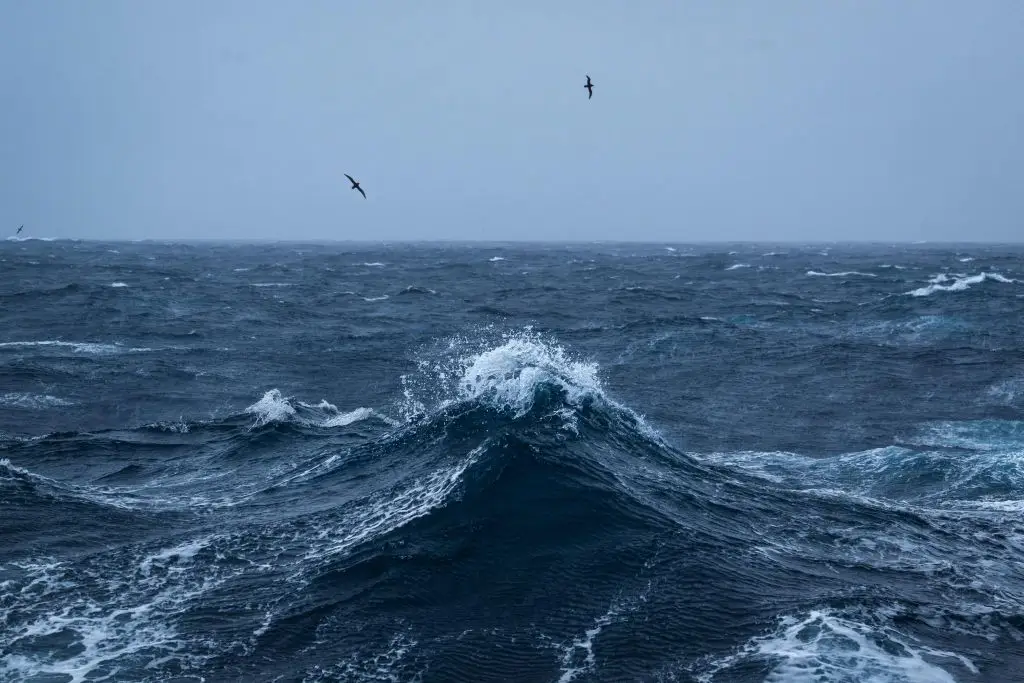 Haverly's plan would involve basalt at the bottom of the Kerguelen Plateau (Patrick Hertzog/AFP via Getty Images)