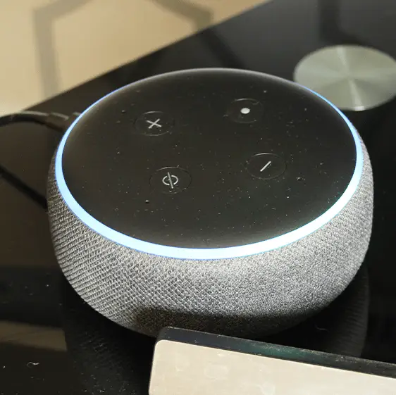 Disney+/Kerry Gerdes/ Getty