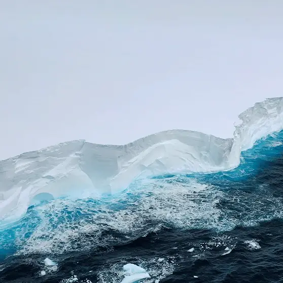 BRITISH ANTARCTIC SURVEY