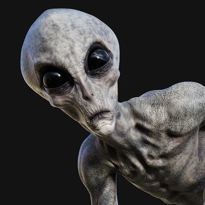 mrjo2405/Getty Images