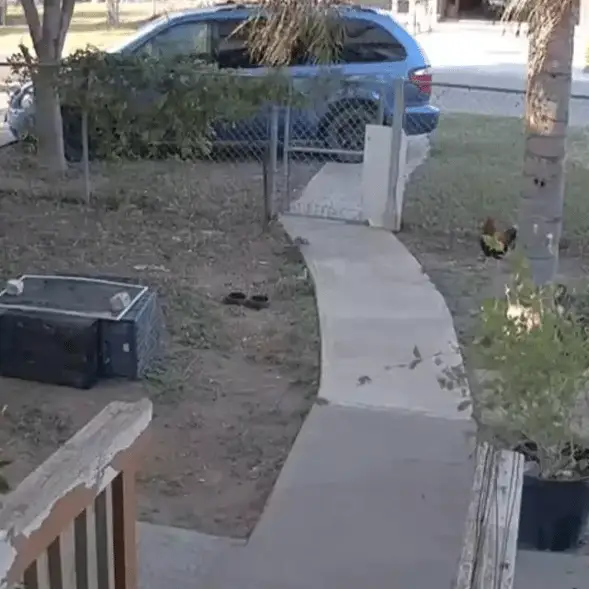 @disdikmark/Twitter / Javier Zayas Photography/Getty