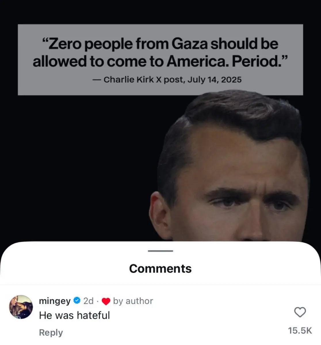 Seyfried called Charlie Kirk 'hateful' in a three-word statement on Instagram (Instagram)