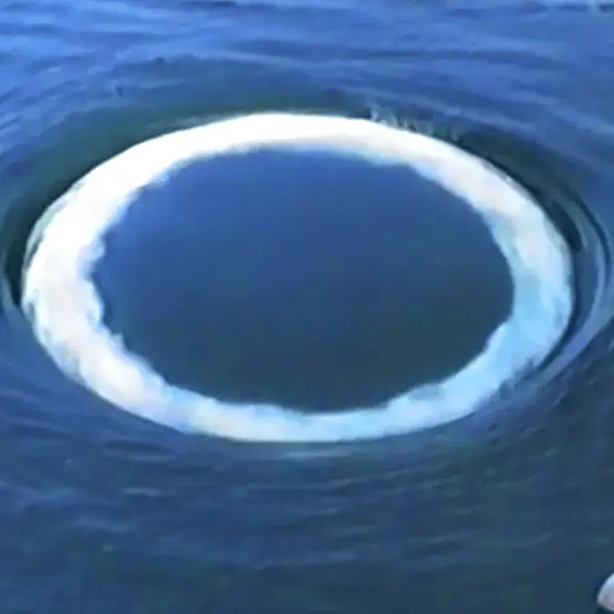 Scientists identify source of eerie ocean rings used as a 'communication' signal from non-humans
