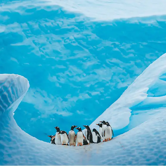 Scientists uncover 1,200,000-million-year-old ice from the depths of Antarctica