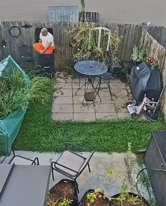 Police failed to check inside the bin when they burst into Simon's back yard (TikTok/7newsaustralia)