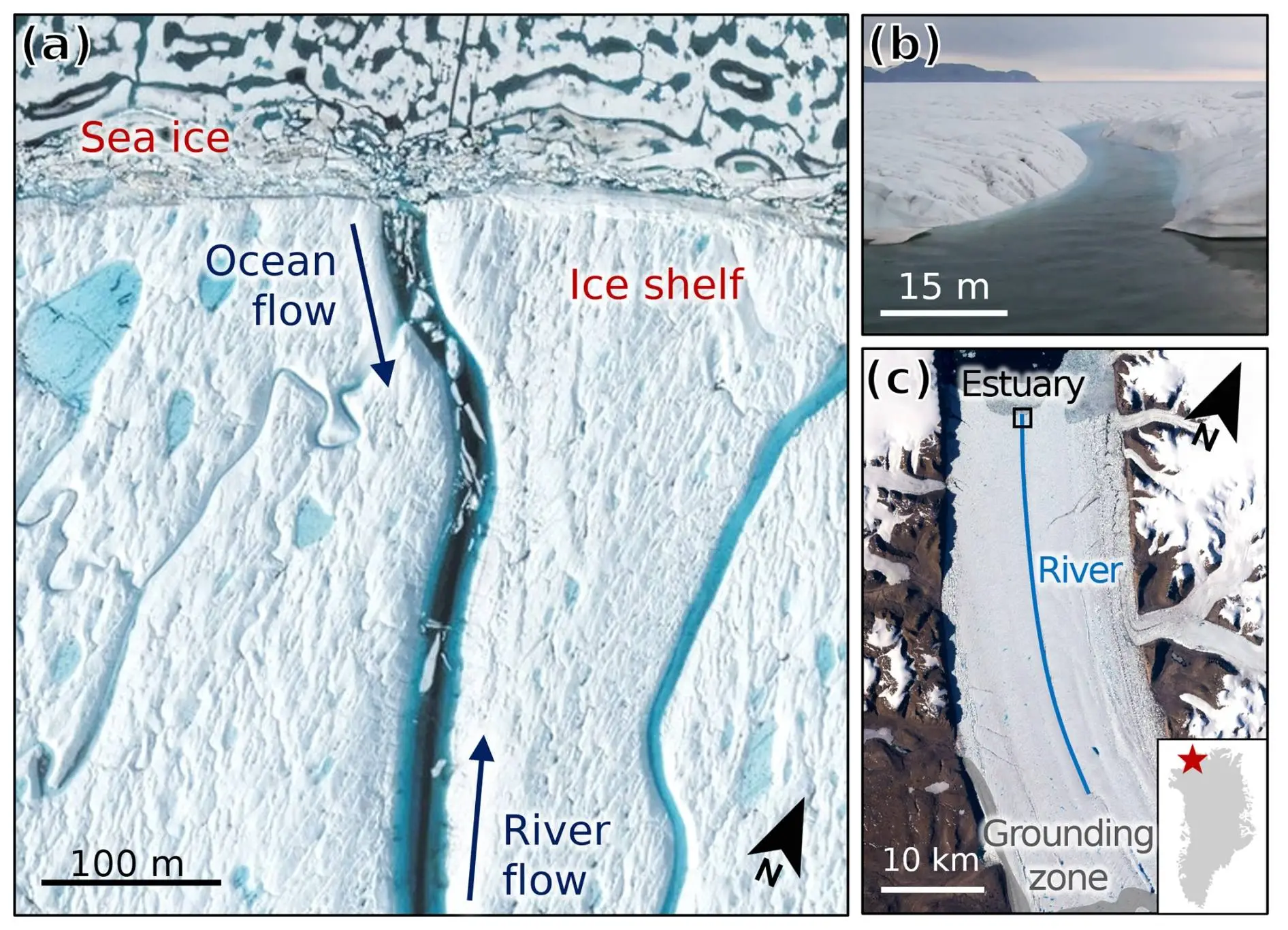 The Petermann Ice Shelf estuary has appeared in new imagery (M. Savignano et al., 2026)