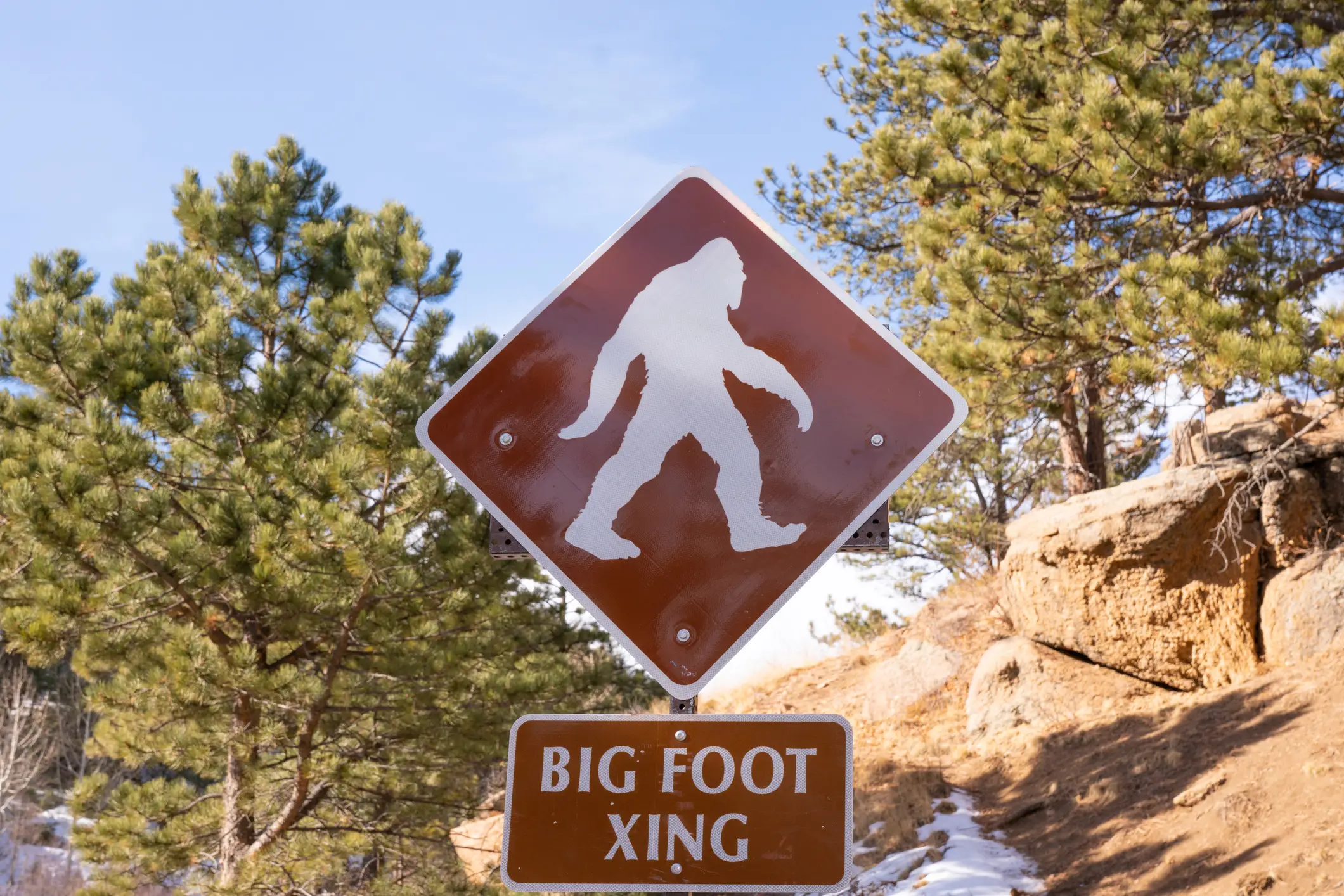 Many people think the sighting is finally proof of Bigfoot (pabradyphoto/Getty)