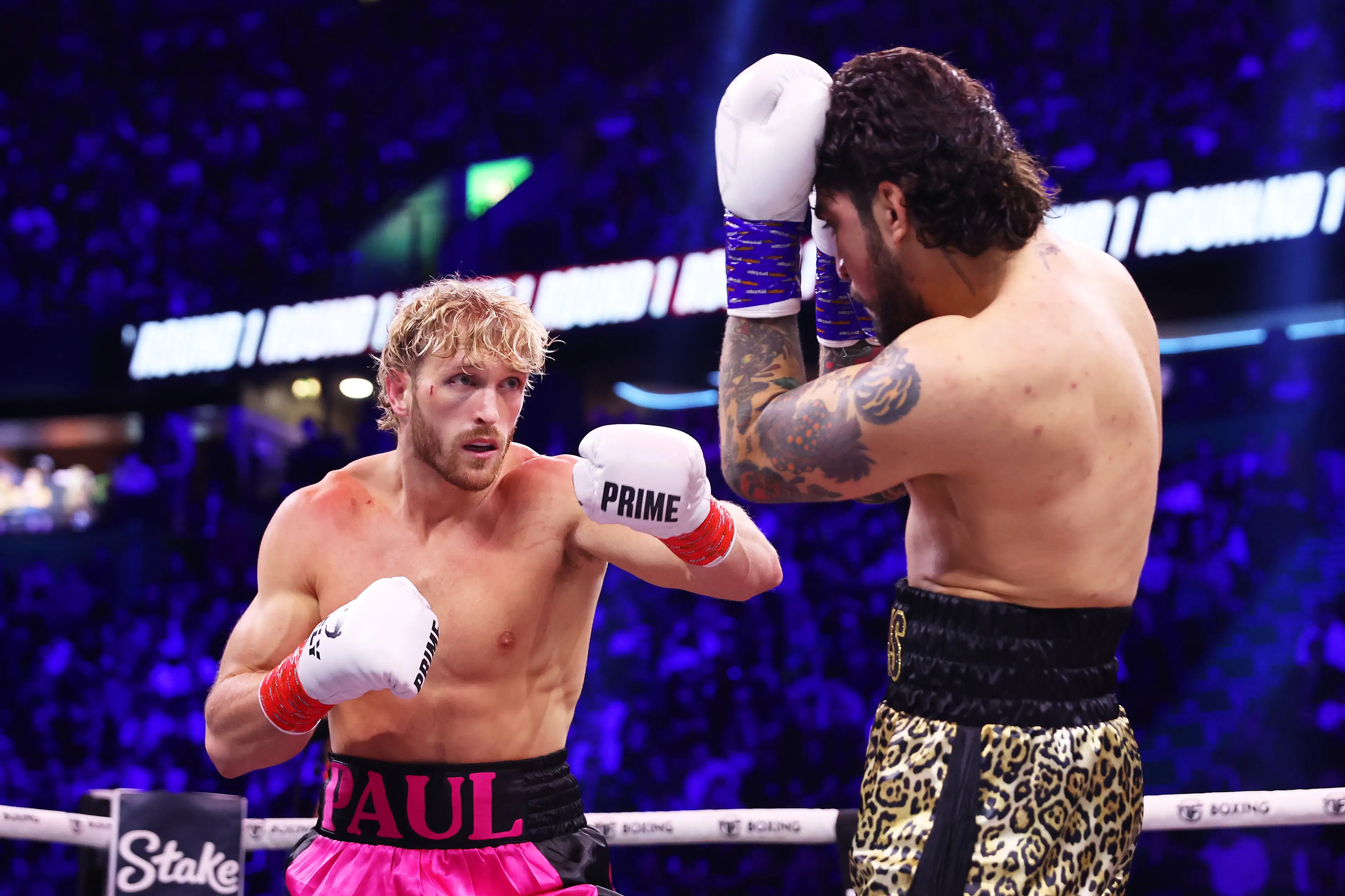 Logan Paul is a YouTuber turned WWE star (Matt McNulty/Getty Images)