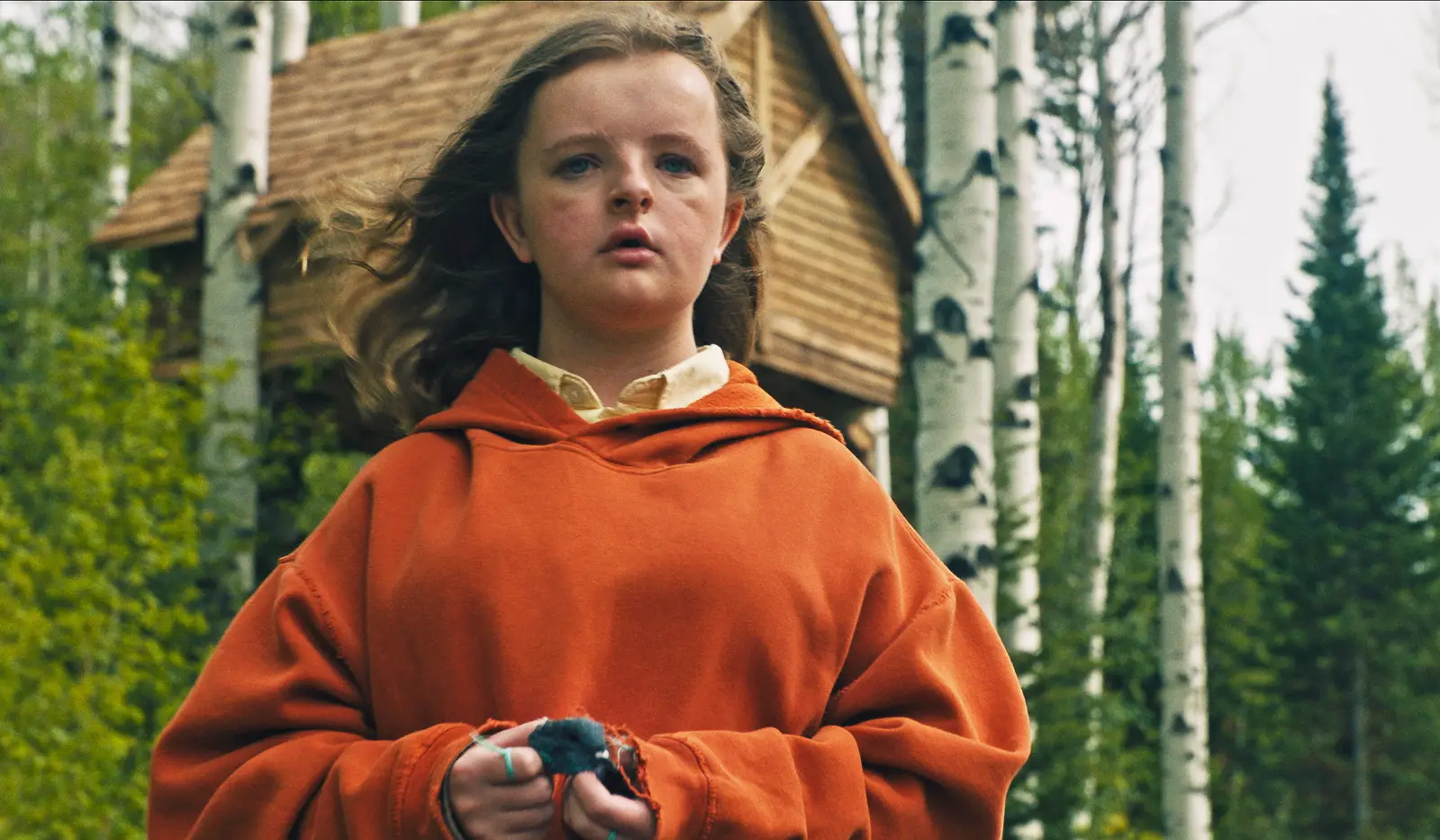 You've got until April 15 to catch Hereditary before it leaves the Netflix library (A24)
