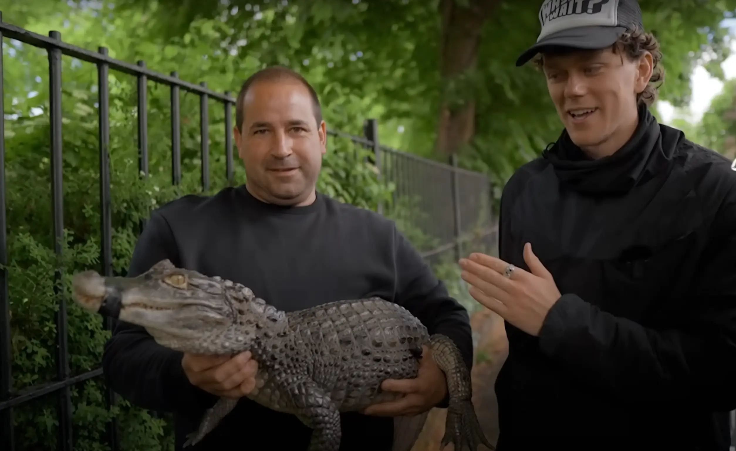 An alligator in a taxi isn't something you see everyday. (Zac Alsop/YouTube)