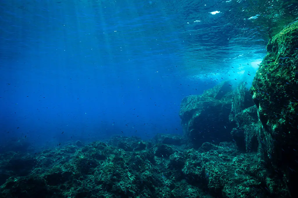 The scientist spent his time in a pod where he monitored his body's reaction to the pressure of deep-water living (Alessandro Rota/Contributor/Getty)