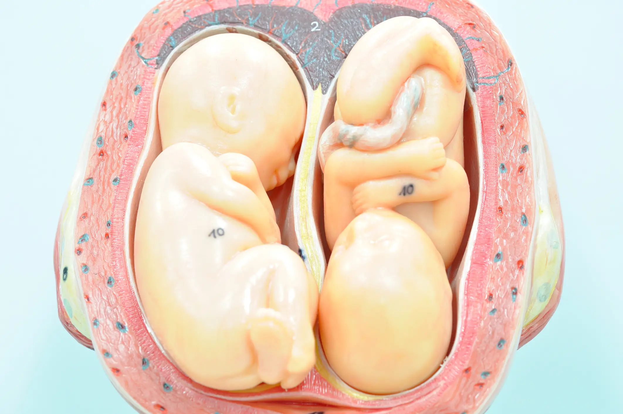 It would require whole genome sequencing to determine who the father is (tinydevil / Getty)