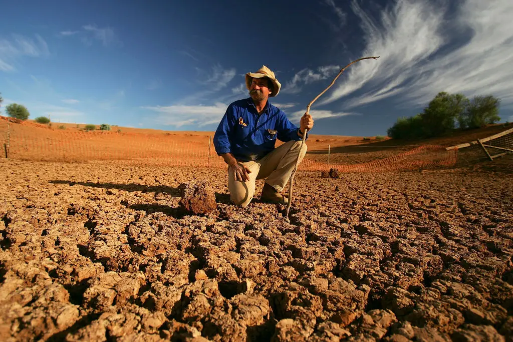 El Niño can intensify drought conditions across already vulnerable farming regions, too (Ian Waldie/Staff/Getty Images)