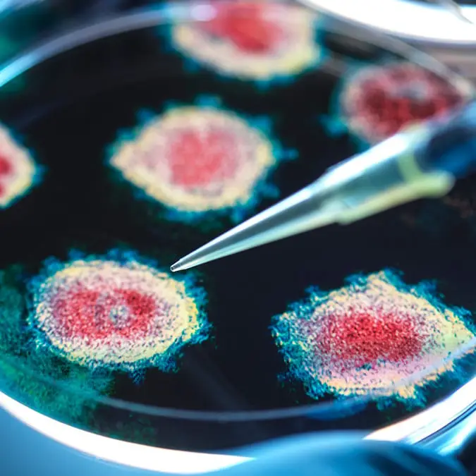 Scientists discover new bat coronavirus in China that sparks pandemic fears