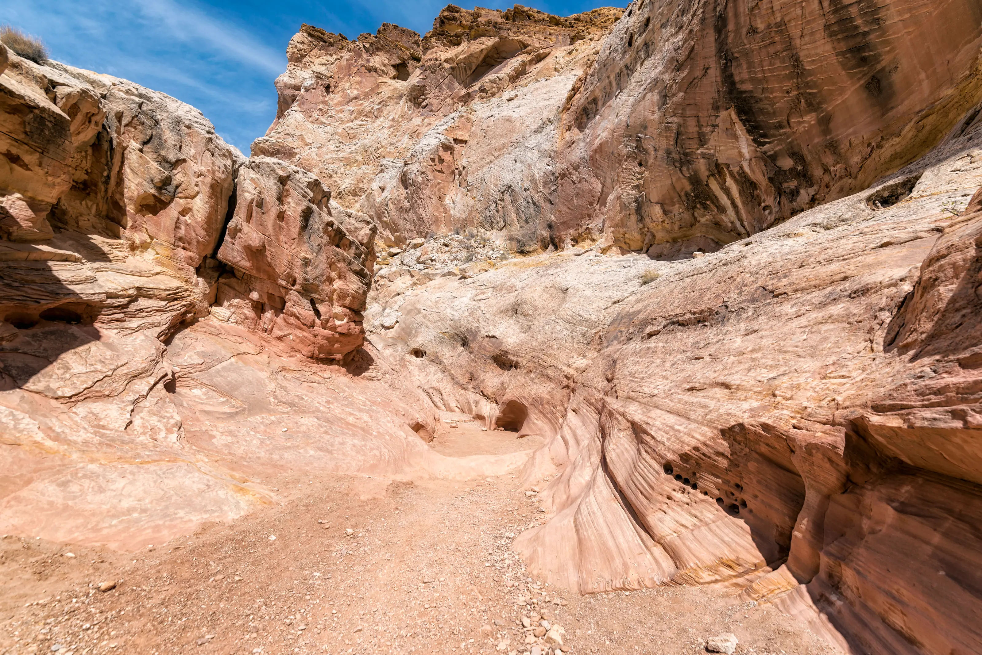 Cavan Images/Getty Images
