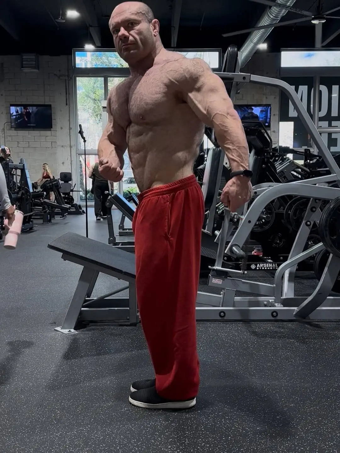 Israetel suggests you'll soon be able to get your gym progress back (Instagram / Michael Israetel)