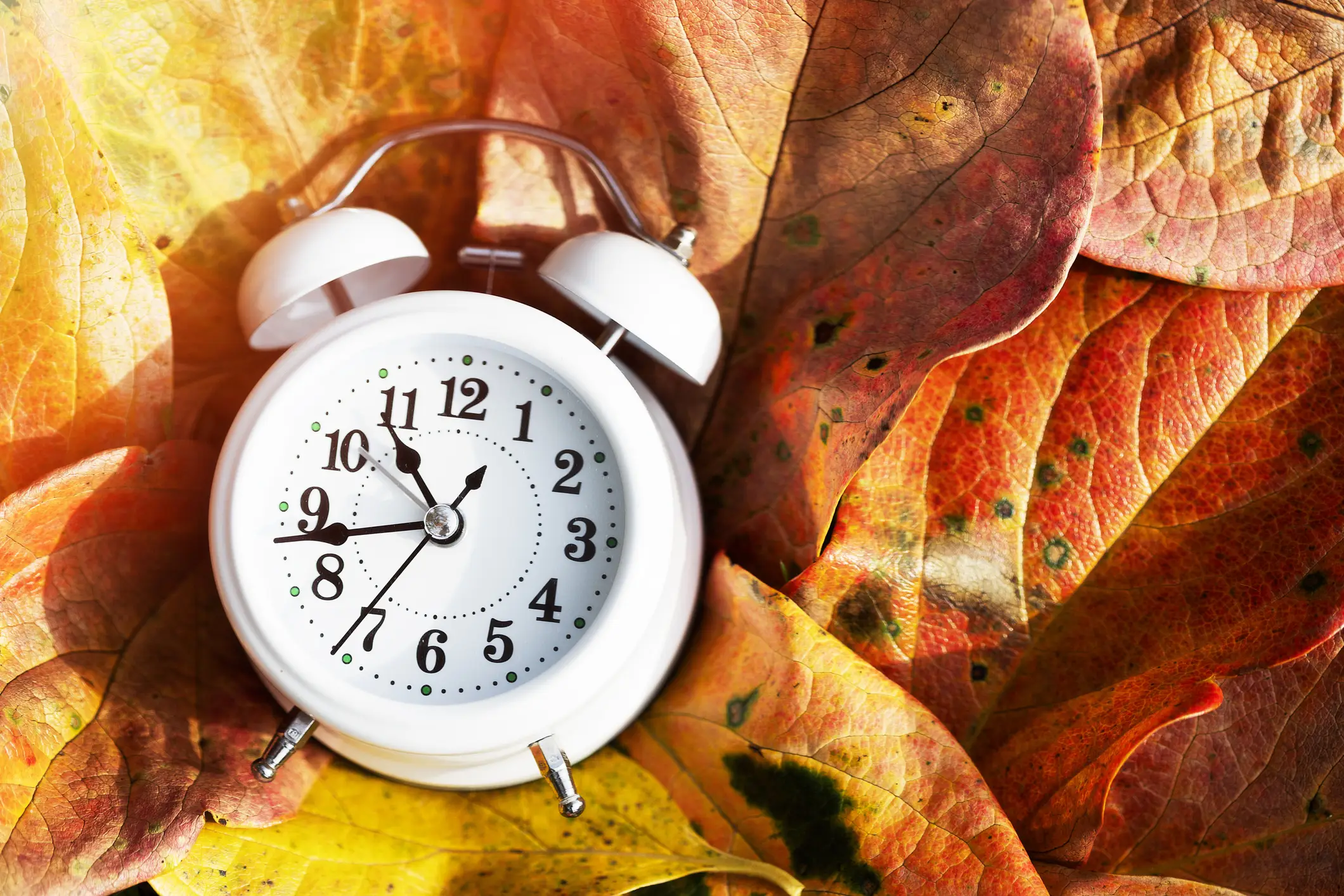 Several US states are preparing to make daylight saving time permanent (Alena Frolova/Getty)