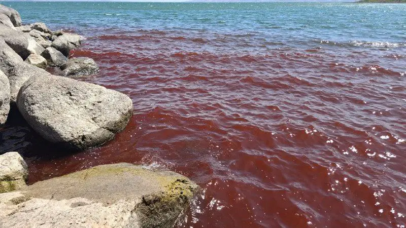 The Sea of Galilee recently turned an ominous red, causing many to worry that it's a bad omen (Shiran Unger/Israel Nature and Parks Authority)