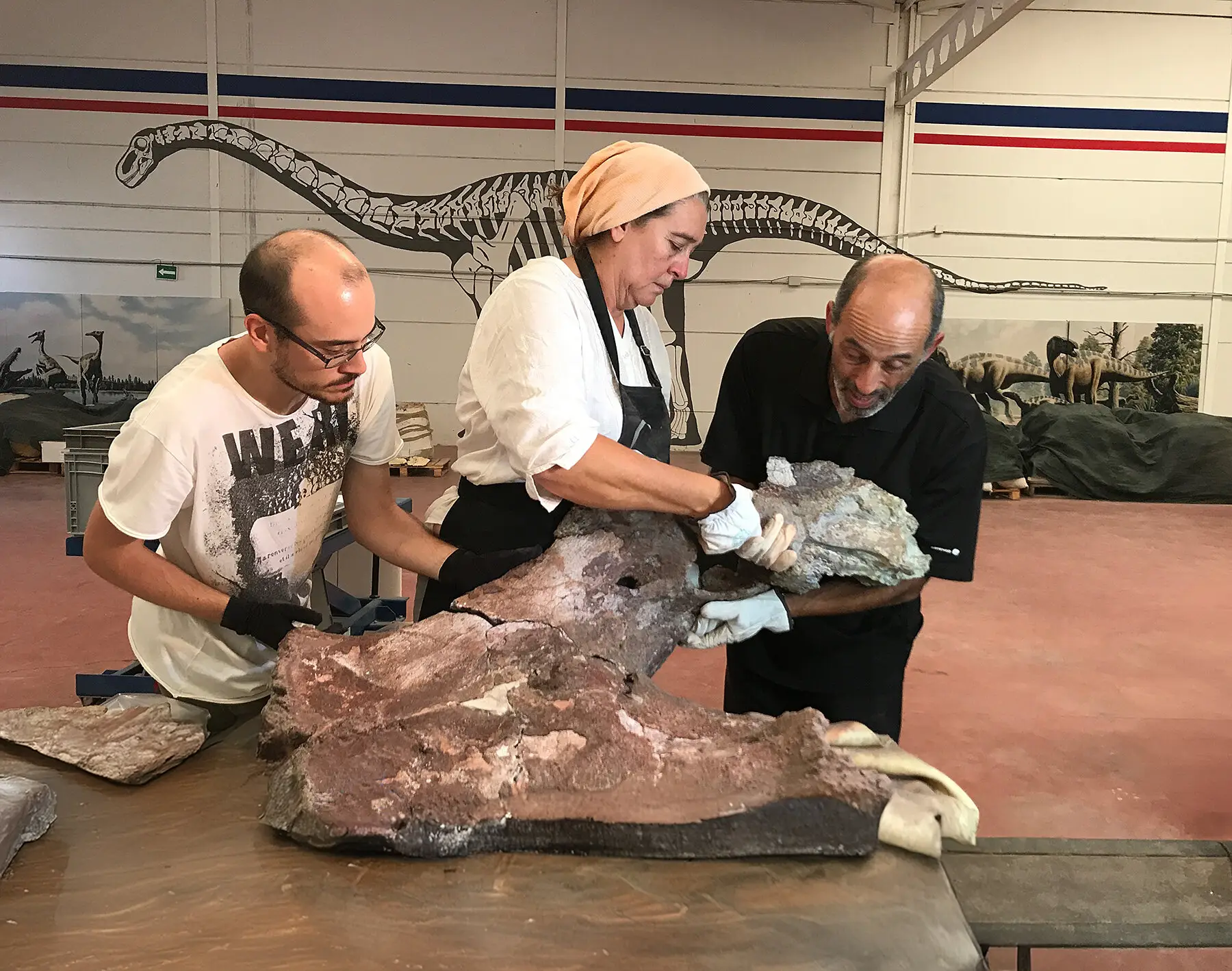 The bones are giving researchers new insight on the group of dinosaurs (GBE-UNED)