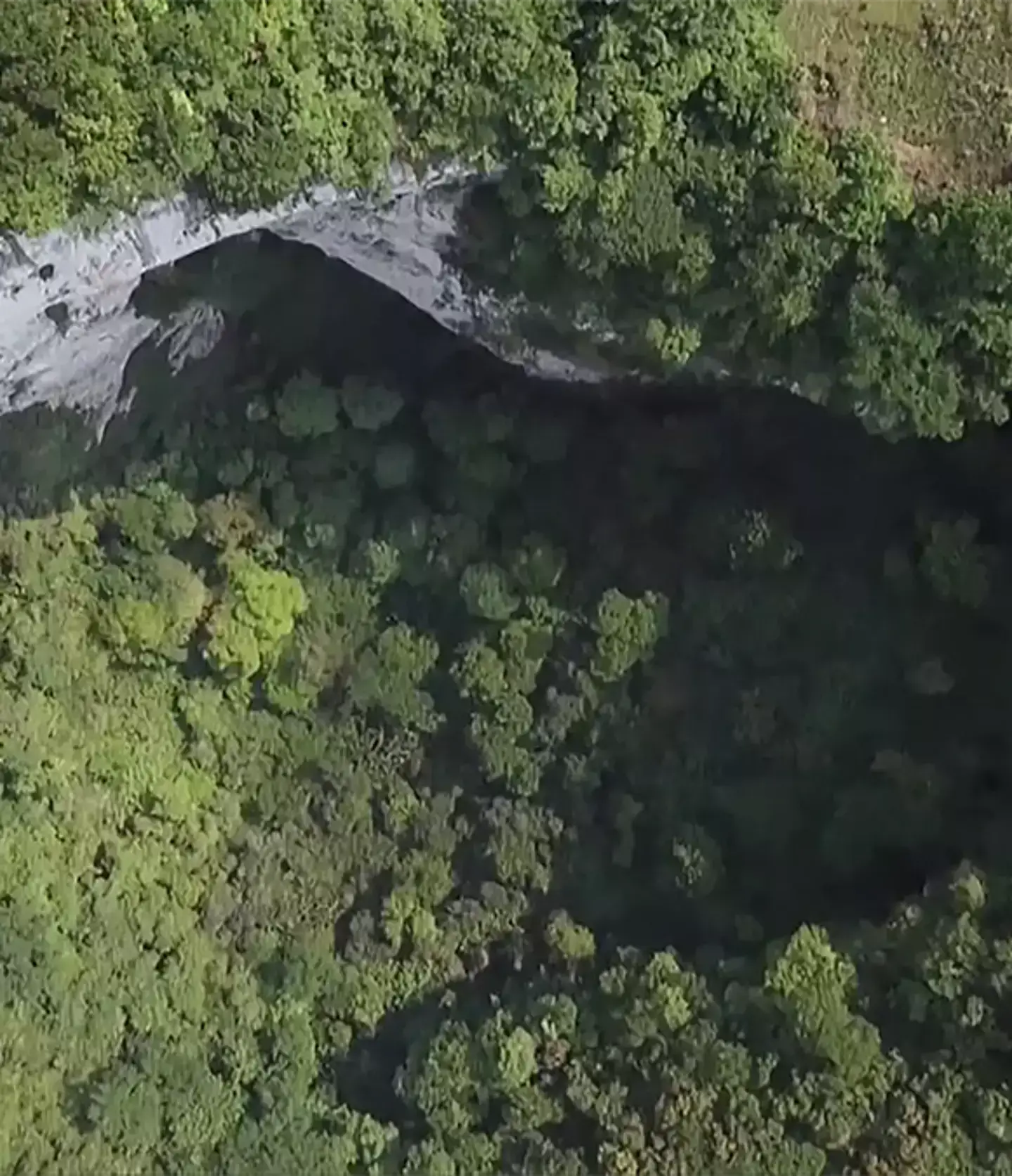 The sinkhole is home to an ancient forest (X/@CGTNOfficial)