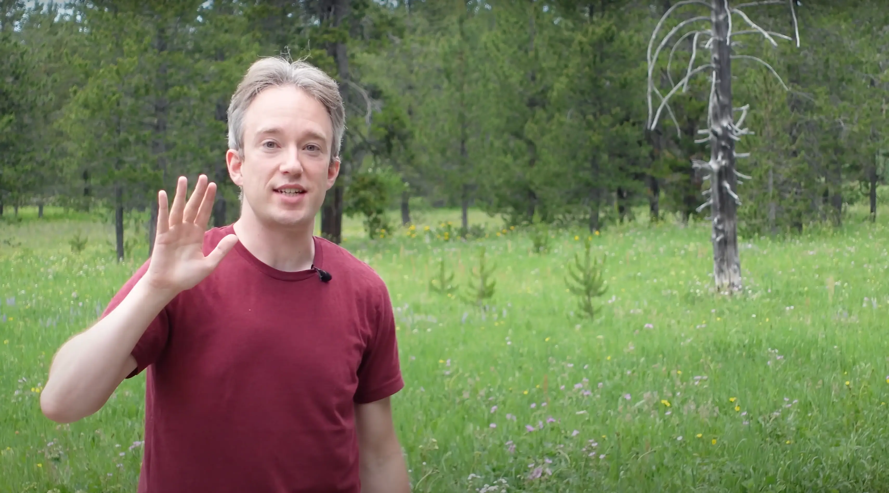 The legal loophole means you could get away with murder in this area (YouTube/@TomScottGo)