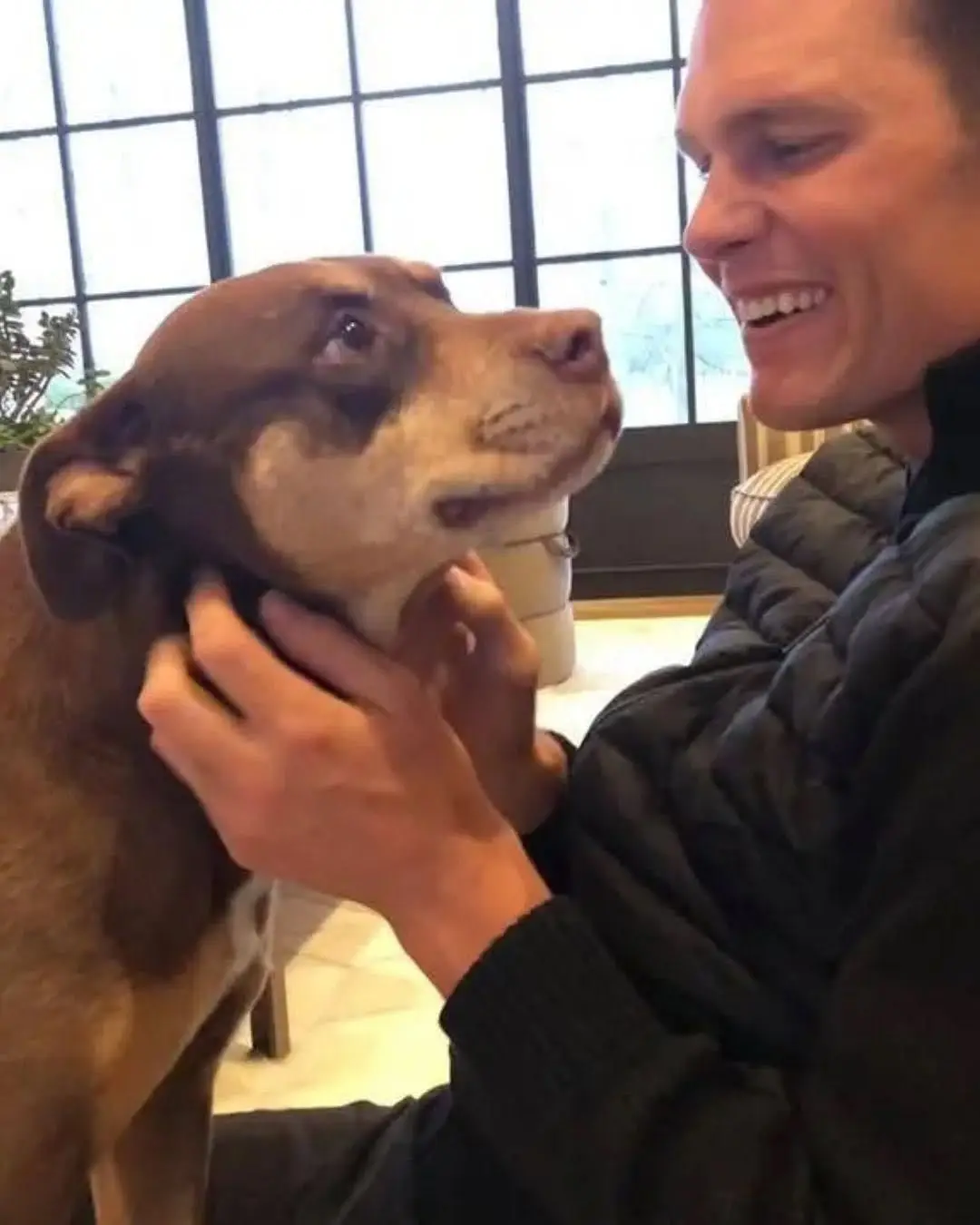 Tom Brady has cloned his dog Lua, who died back in 2023 (Instagram/tombrady)