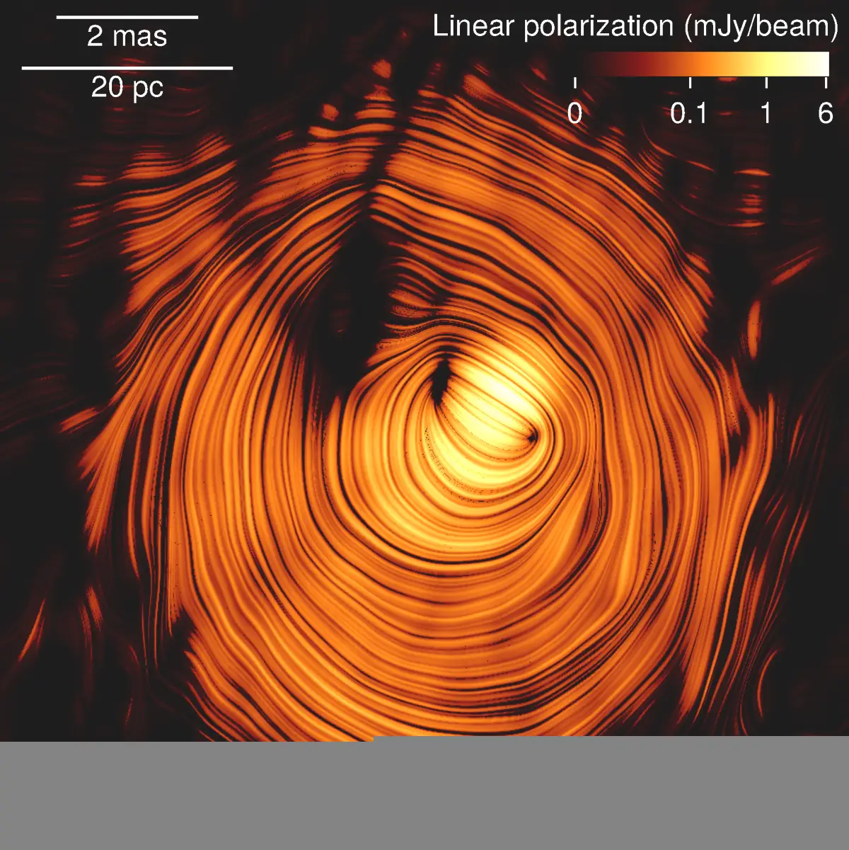 (Y.Y. Kovalev et al)