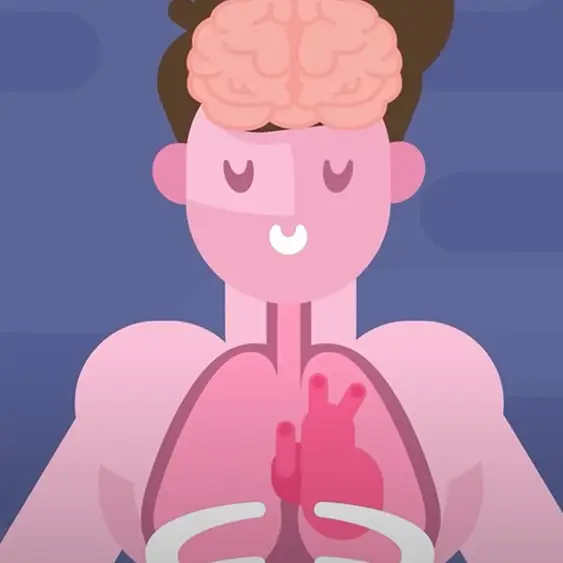 Mind-blowing simulation shows what happens to your body and mind when you smoke cannabis