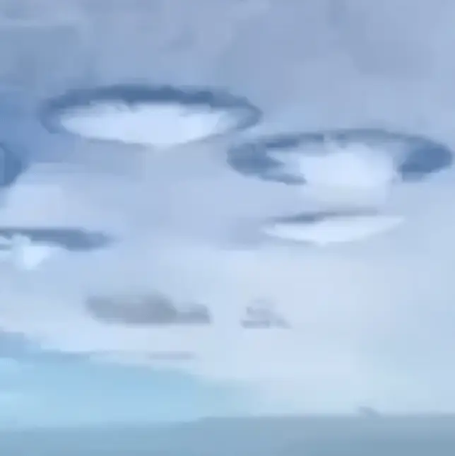 Obvious_Shoe7302/ Reddit