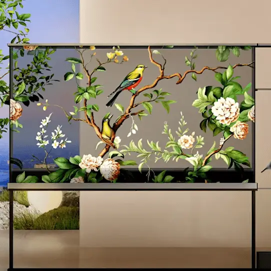 LG / Engadget/YouTube