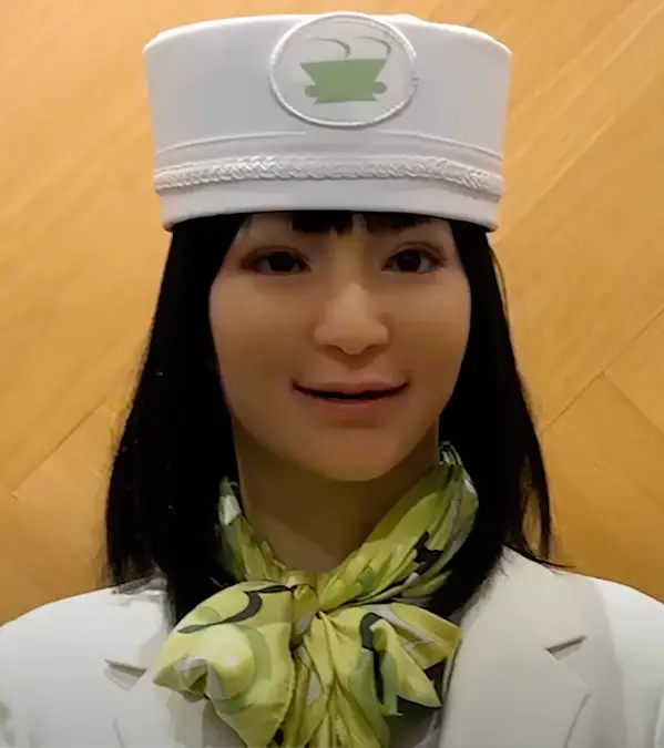 Henn na hotel in Tokyo, Japan is run entirely by robots (Isaiah Photo/YouTube)