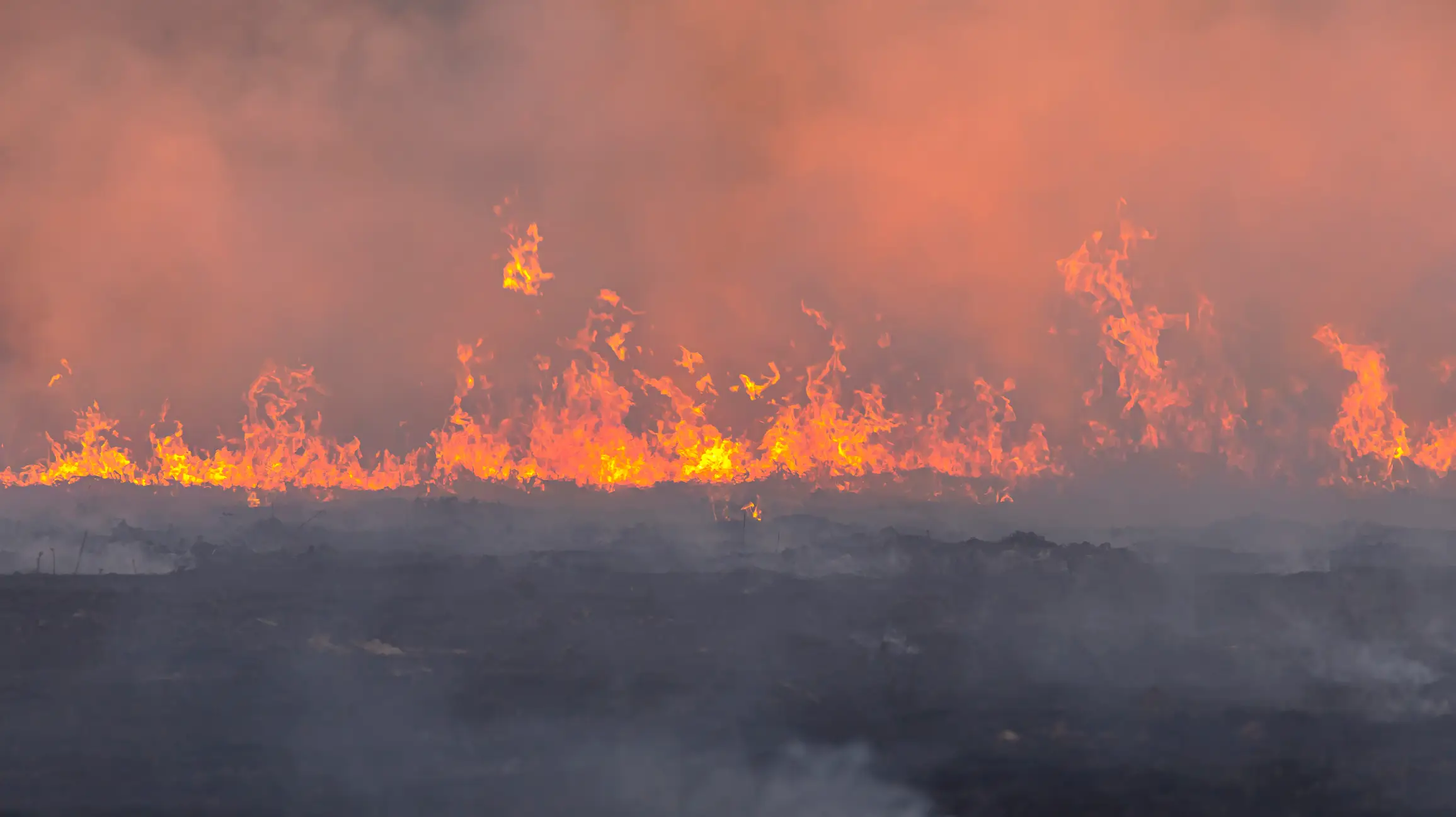 Experts fear this Super El Niño could bring extreme heat, deadly floods, droughts and economic chaos across the globe (chuchart duangdaw/Getty Images)