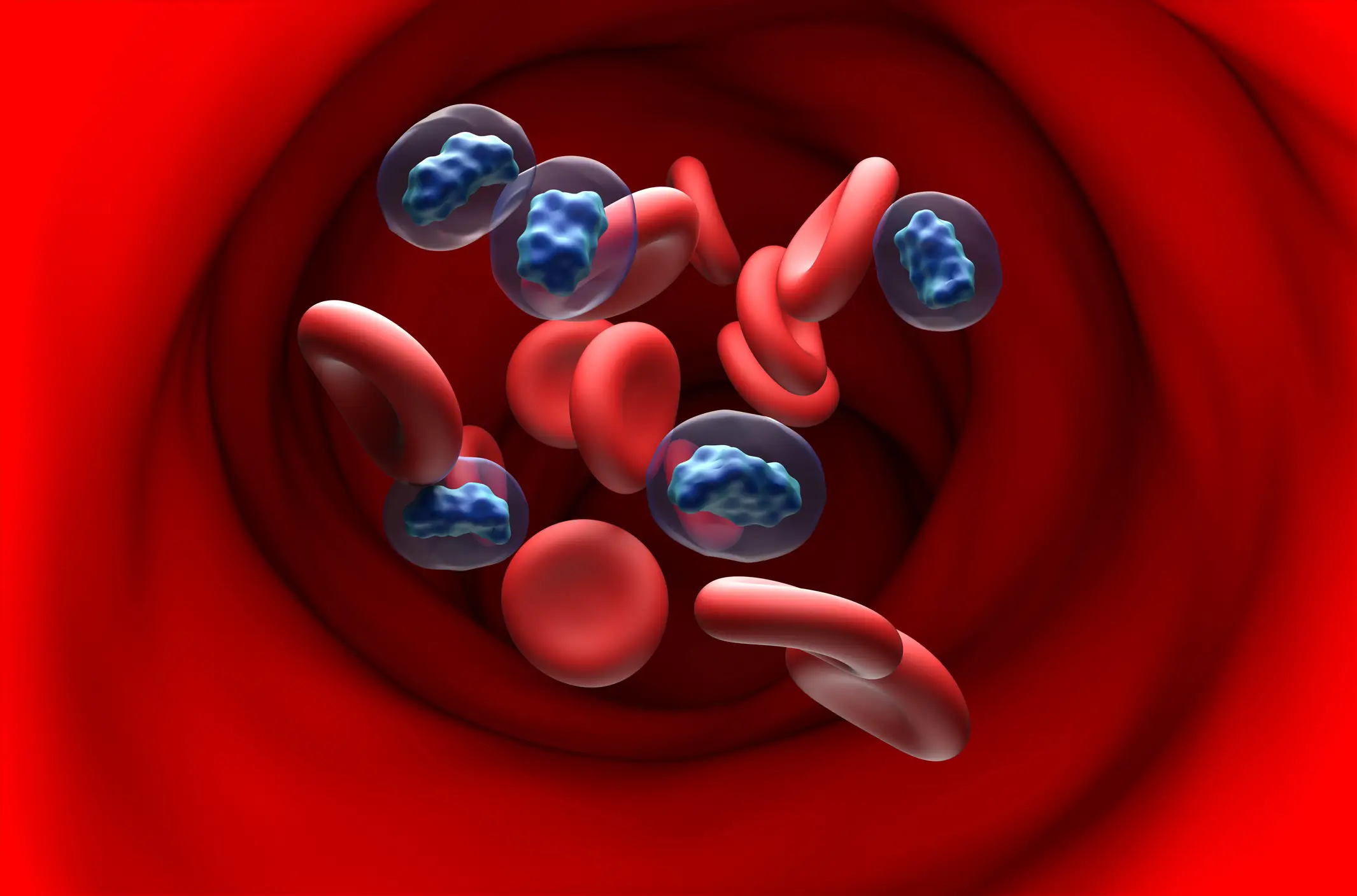 Testosterone levels have declined at a worrying rate over the last half century according to researchers (Nemes Laszlo/Science Photo Library via Getty Images)