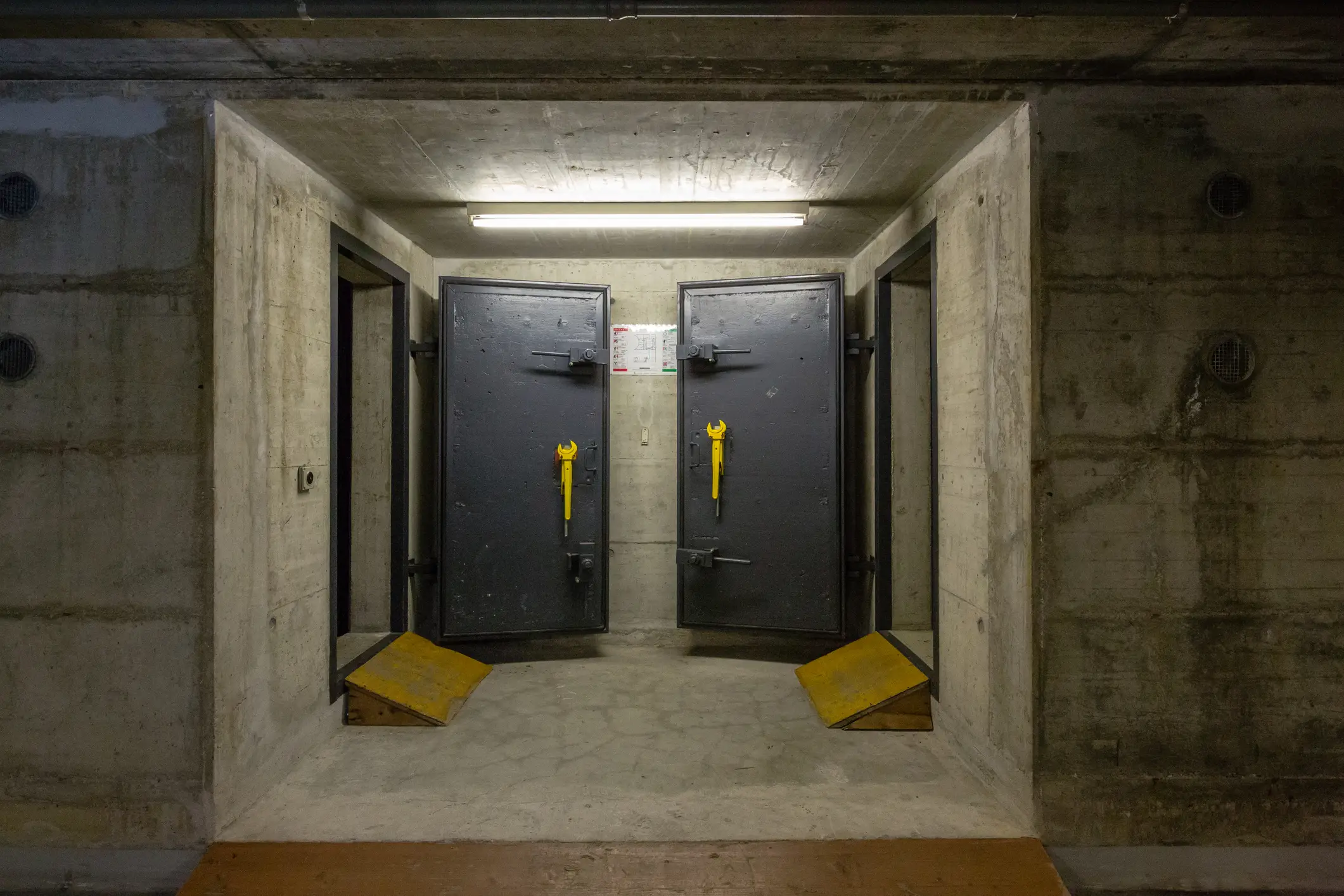 Genyphyr Novak / Getty