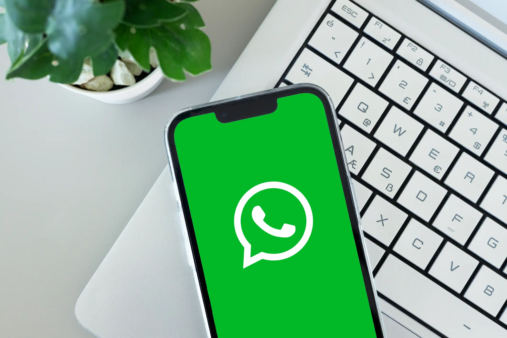 WhatsApp is introducing a new feature (Kurgenc/Getty Images)