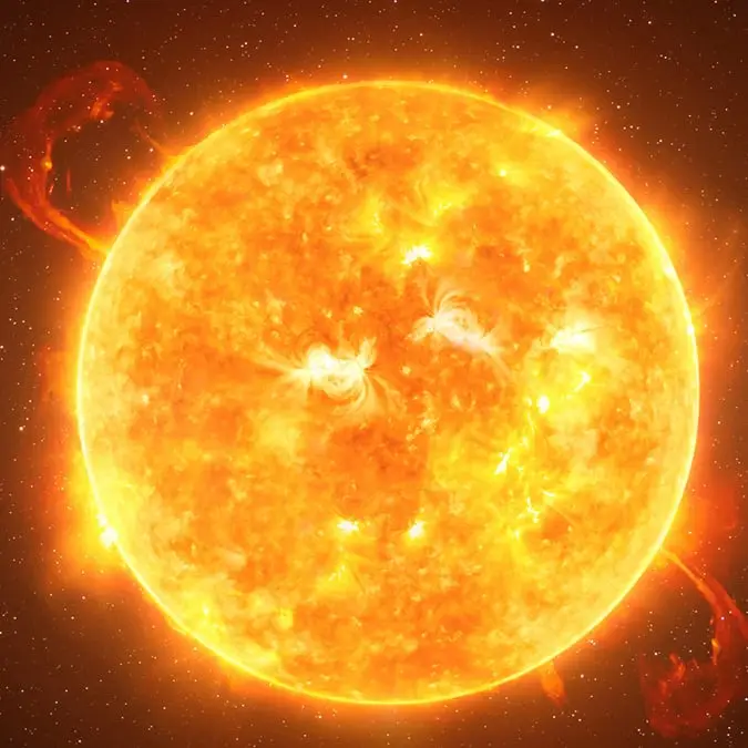 dzika_mrowka/Getty Images