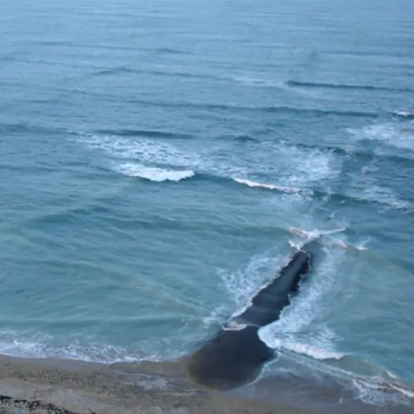 Wikipedia/Michel Griffon / YouTube/Razvan Fiat