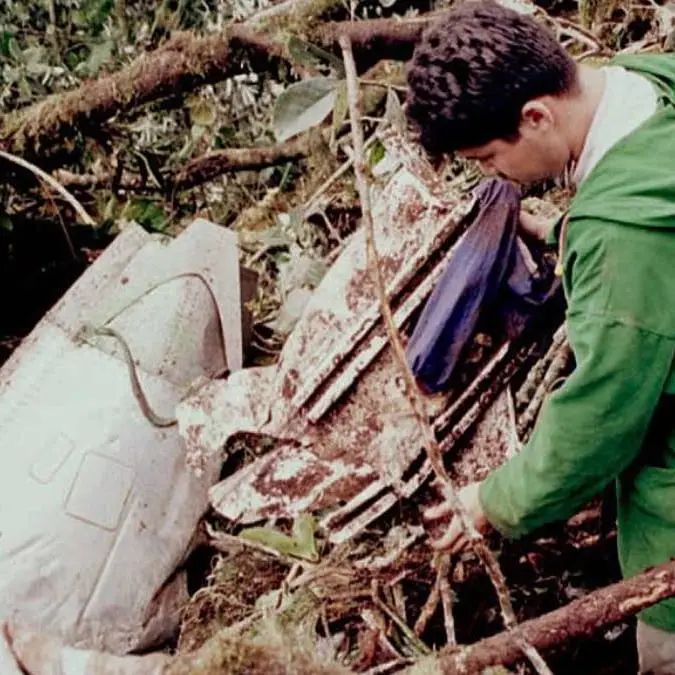 Woman who survived deadly plane crash alleges 'real reason' 151 people died