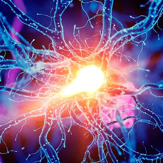 Andriy Onufriyenko/SCIEPRO/SCIENCE PHOTO LIBRARY via Getty