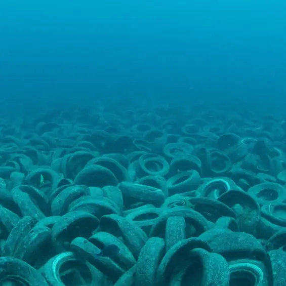 Eerie photos show shocking effects of dumping 2,000,000 tires into the ocean 50 years later