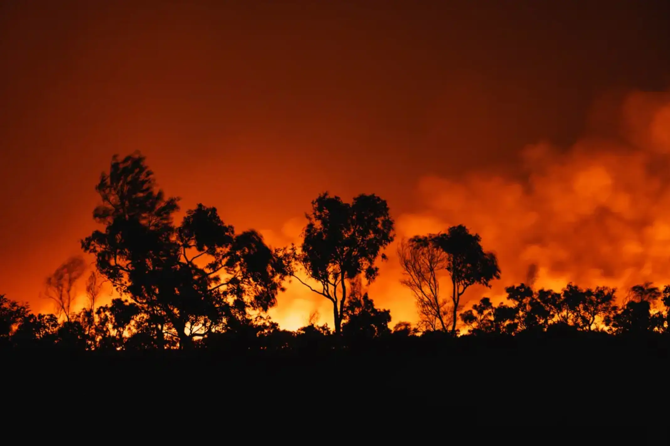Experts are concerned that a new El Niño weather pattern may dramatically intensify global temperatures and extreme weather events (Abstract Aerial Art/Getty Images)