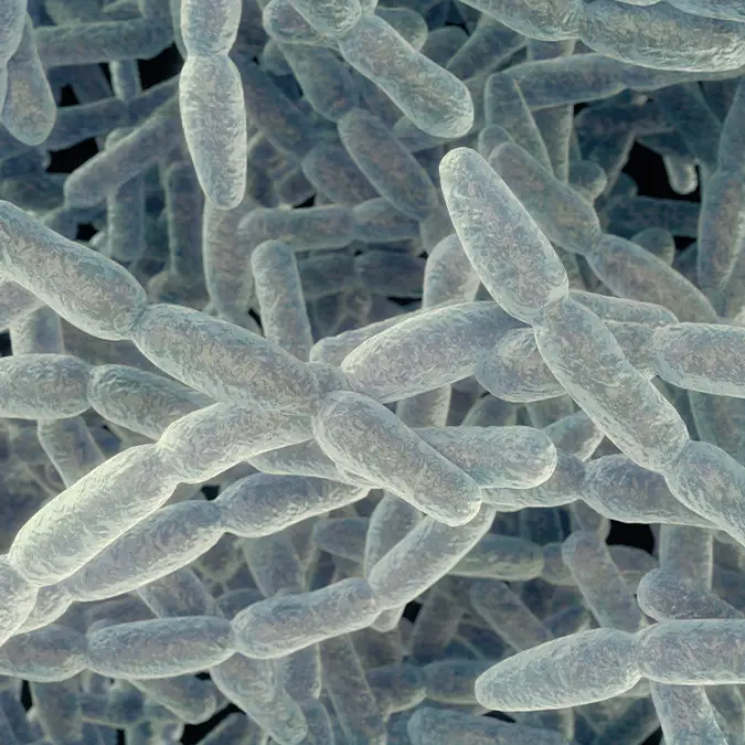 ROGER HARRIS/SCIENCE PHOTO LIBRARY / Getty