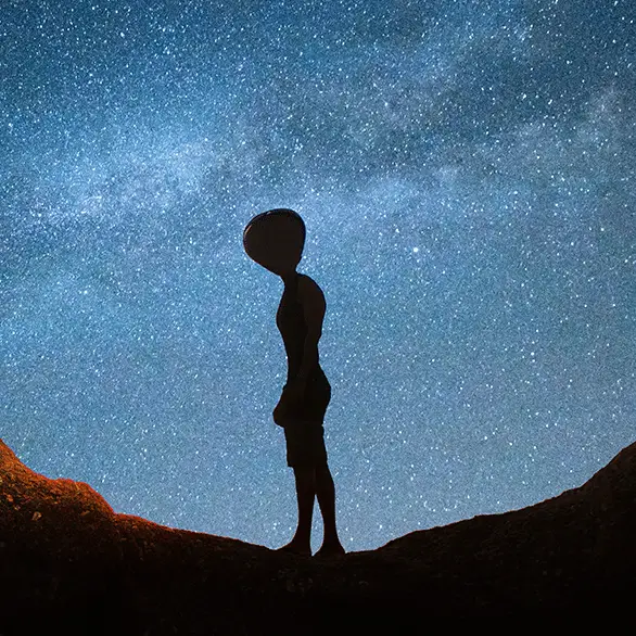 Apostoli Rossella / Chris Clor / Getty