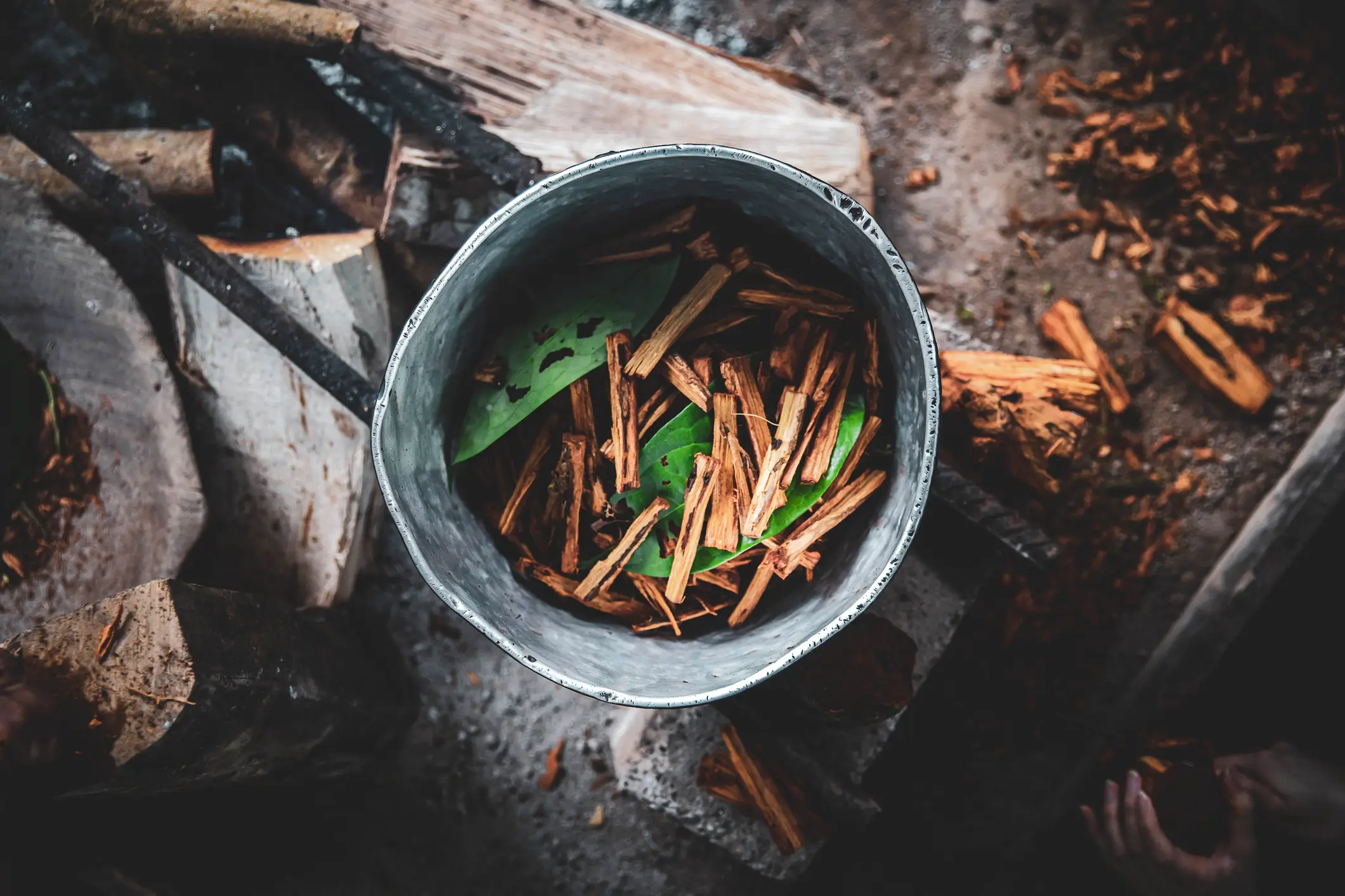 Leaves of the chacruna shrub and the ayahuasca vine to make a tea. (Mark Fox/Getty)