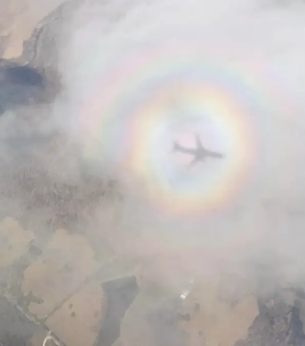 u/anglovesart/Reddit