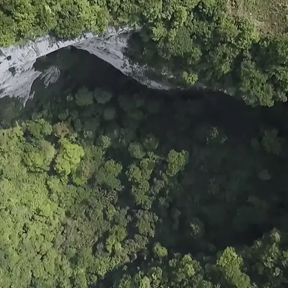 How a huge ancient forest was discovered 630 feet down secret sinkhole in China