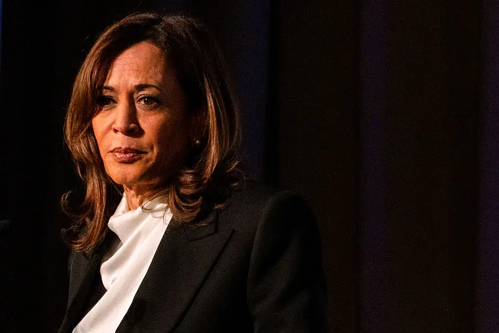 Harris says she's worried about the future of the USA (CAMILLE COHEN / Contributor / Getty)
