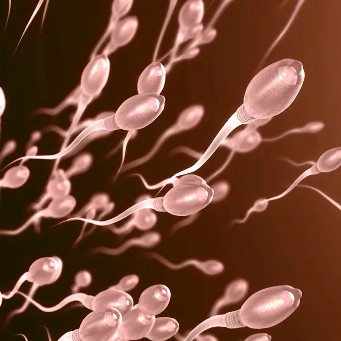 CHRISTOPH BURGSTEDT/SCIENCE PHOTO LIBRARY / Getty