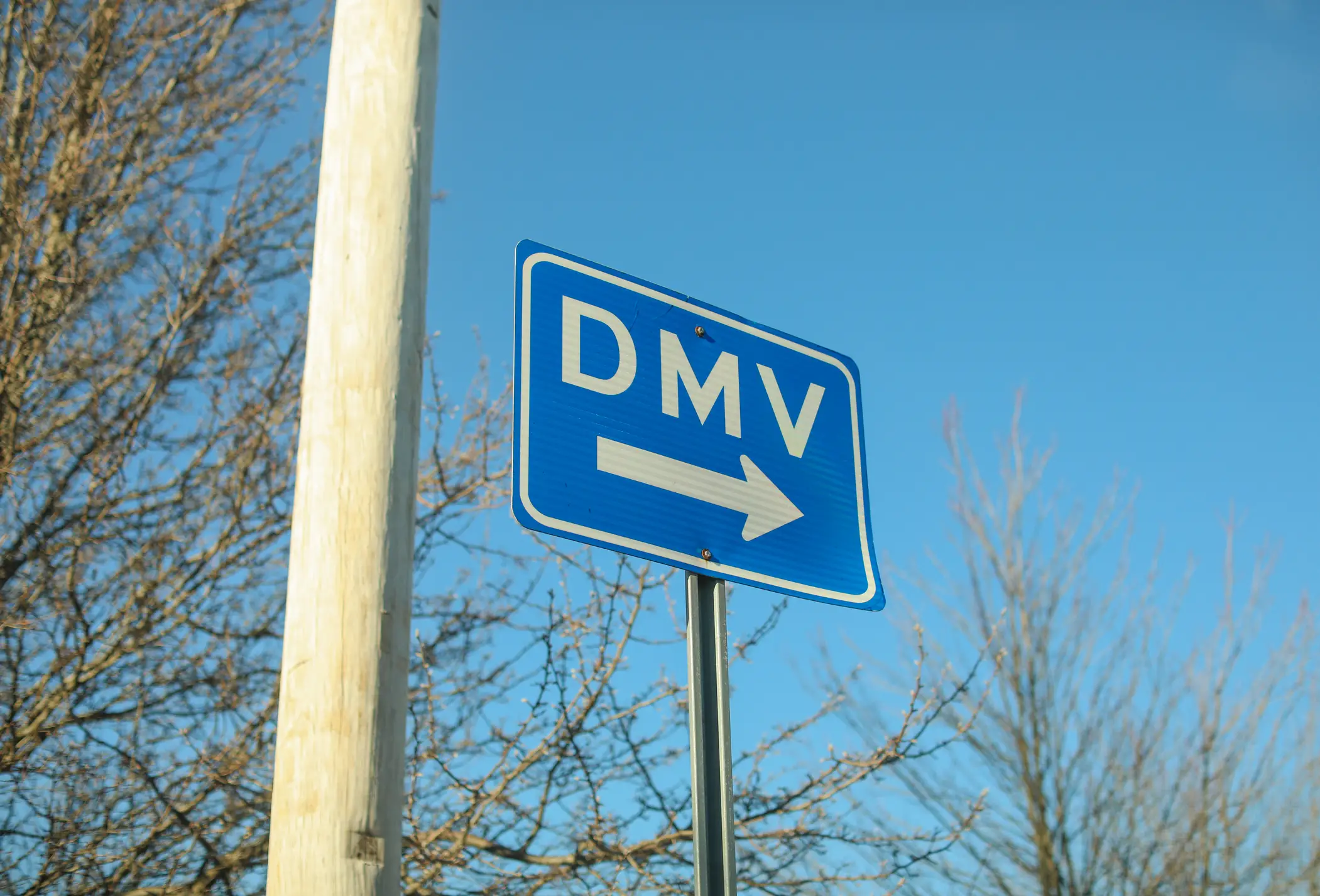 People have reported receiving fake DMV text messages (Isaac Lee/Getty Images)