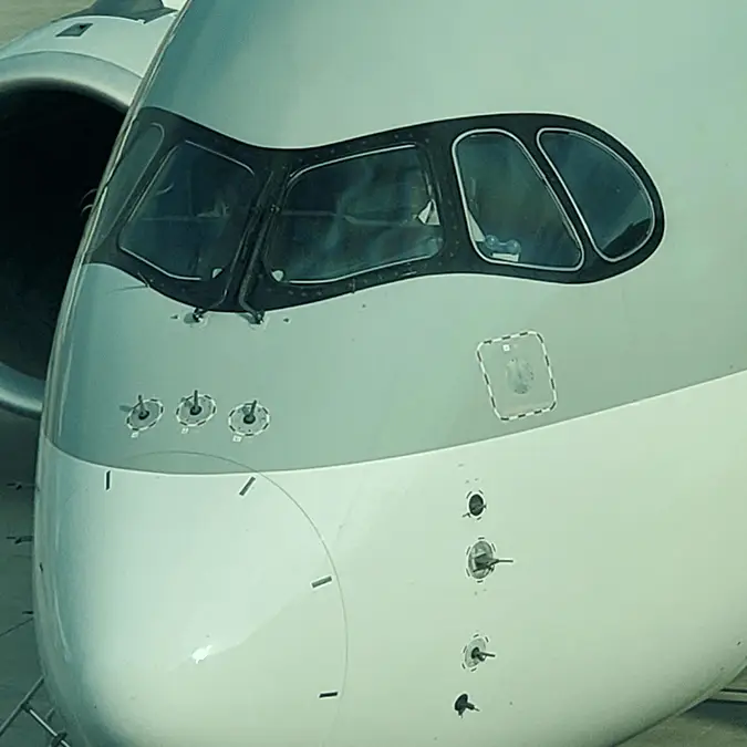 People are only just discovering crucial reason why planes have 'strange whiskers' on the nose